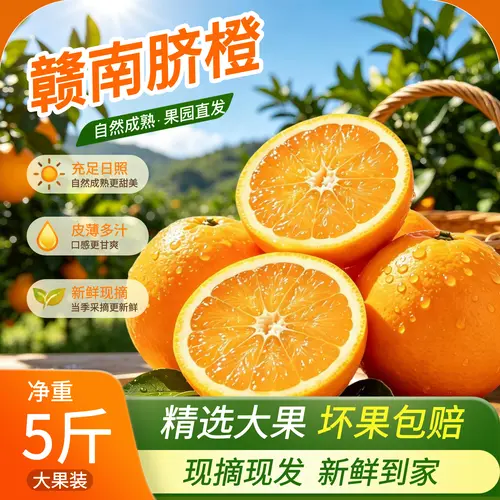 食品生鲜应季水果现摘水果新鲜赣南脐橙商品主图 - 剪映在线图片编辑模板